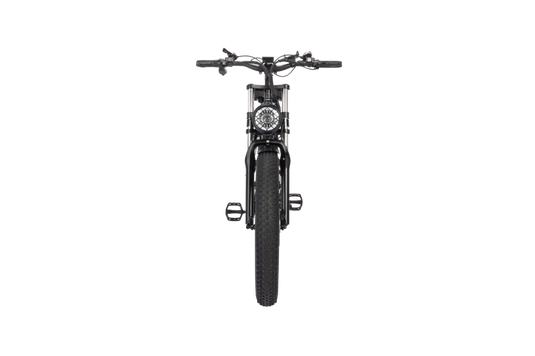 Ridstar H26 26 inch Hummer folding electric bike with 48V1000W motor and Shimano 7-speed gear system11