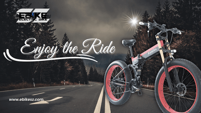 Microgo Electric Scooter: The Perfect Ride Companion
