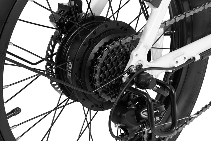 DYU C9 Step-Thru Folding Electric Bike with Hydraulic Oil Disc Brakes and IP54 Rating