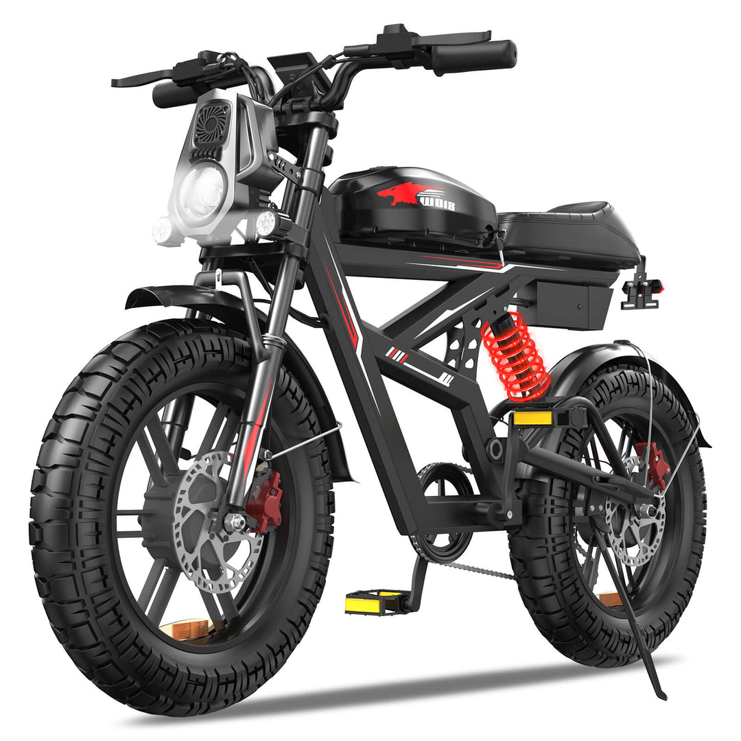 EBIKESZ WO18 2000W AWD Off-Road Fat Tire Electric Bike – Hyper Performance 48V 25Ah Long Range Ebicycle with 20x4.5" Extra Wide Tires