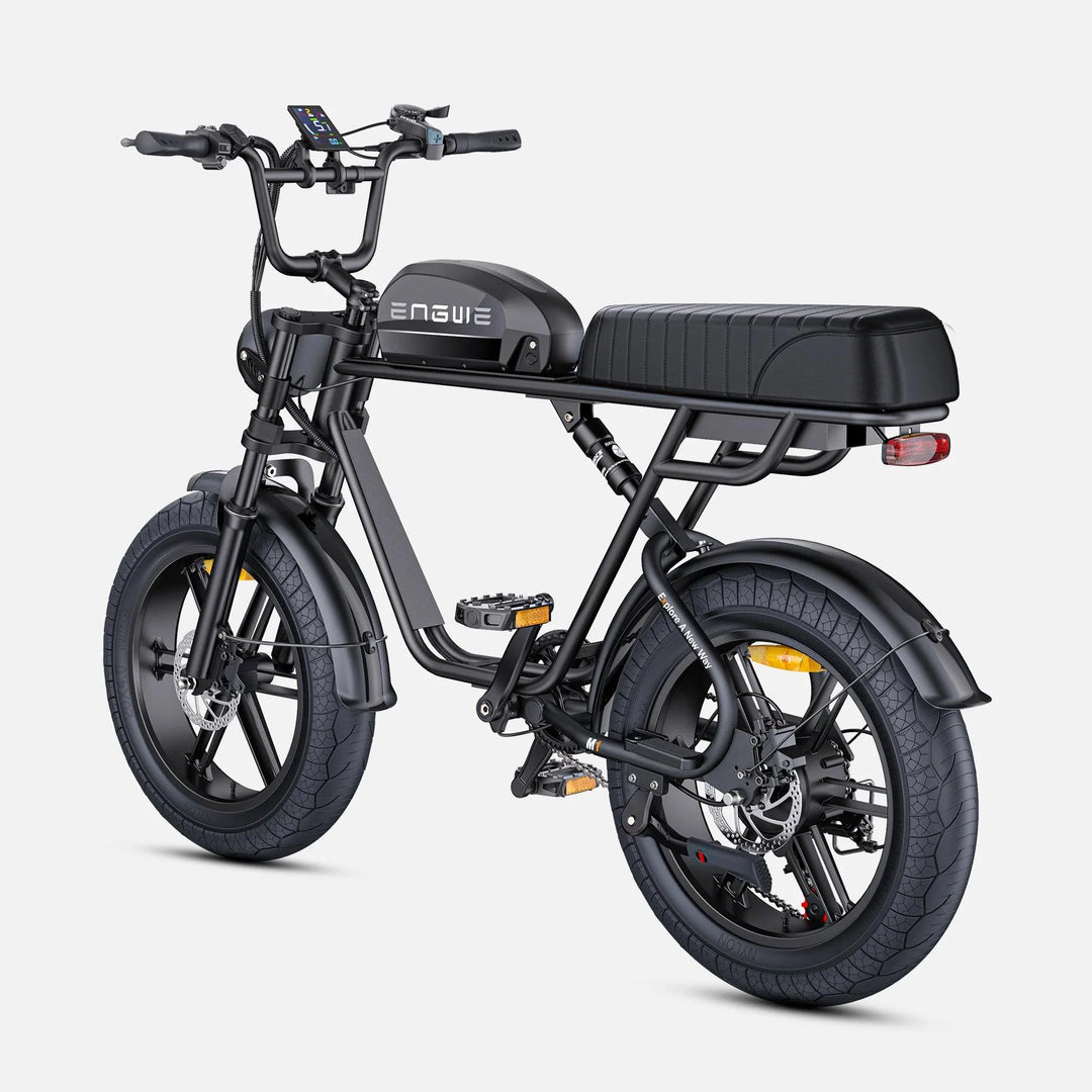 ENGWE M1 Dual Passenger Fat Tire Electric Bike with Single or Dual Battery Options