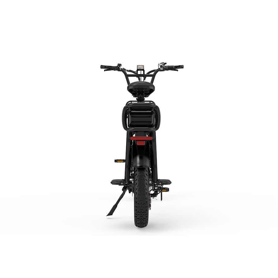 KOOLUX X8 48V 65AH E-Bike Hydraulic Brakes Cargo Electric Bike