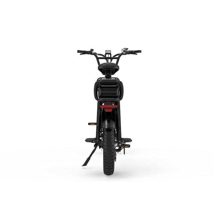 KOOLUX X8 48V 65AH E-Bike Hydraulic Brakes Cargo Electric Bike