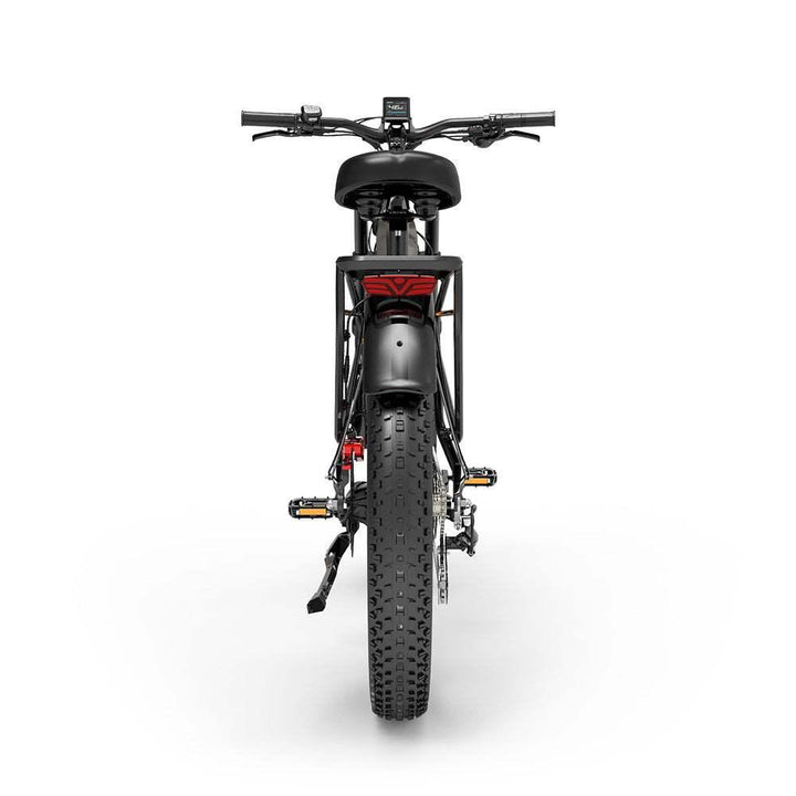 Lankeleisi MG800 Max 2000W Dual Motor Cargo E-Bike with Hydraulic Brakes and LCD Display