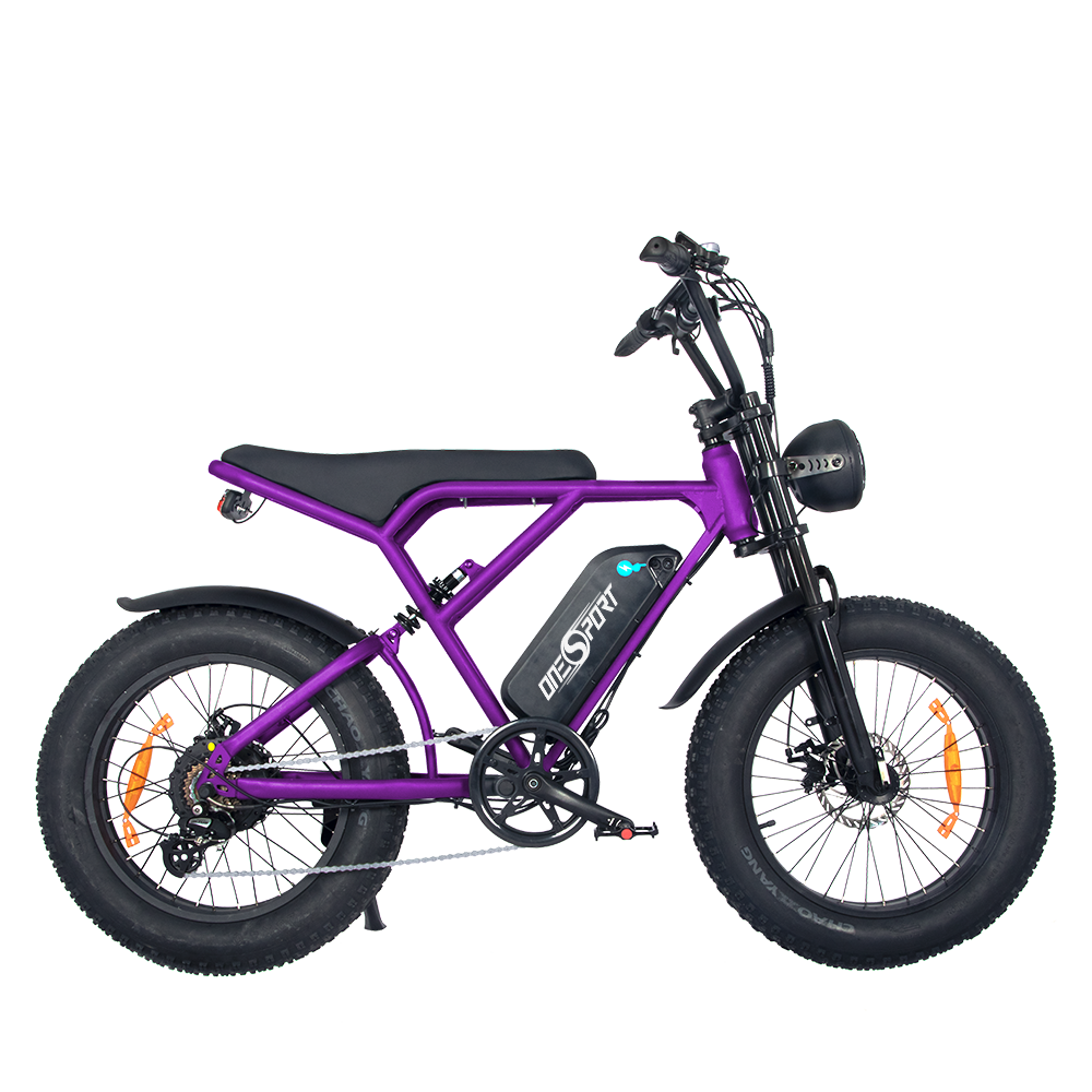 ONESPORT ONES3 Electric Bike – 500W Motor, 25 km/h