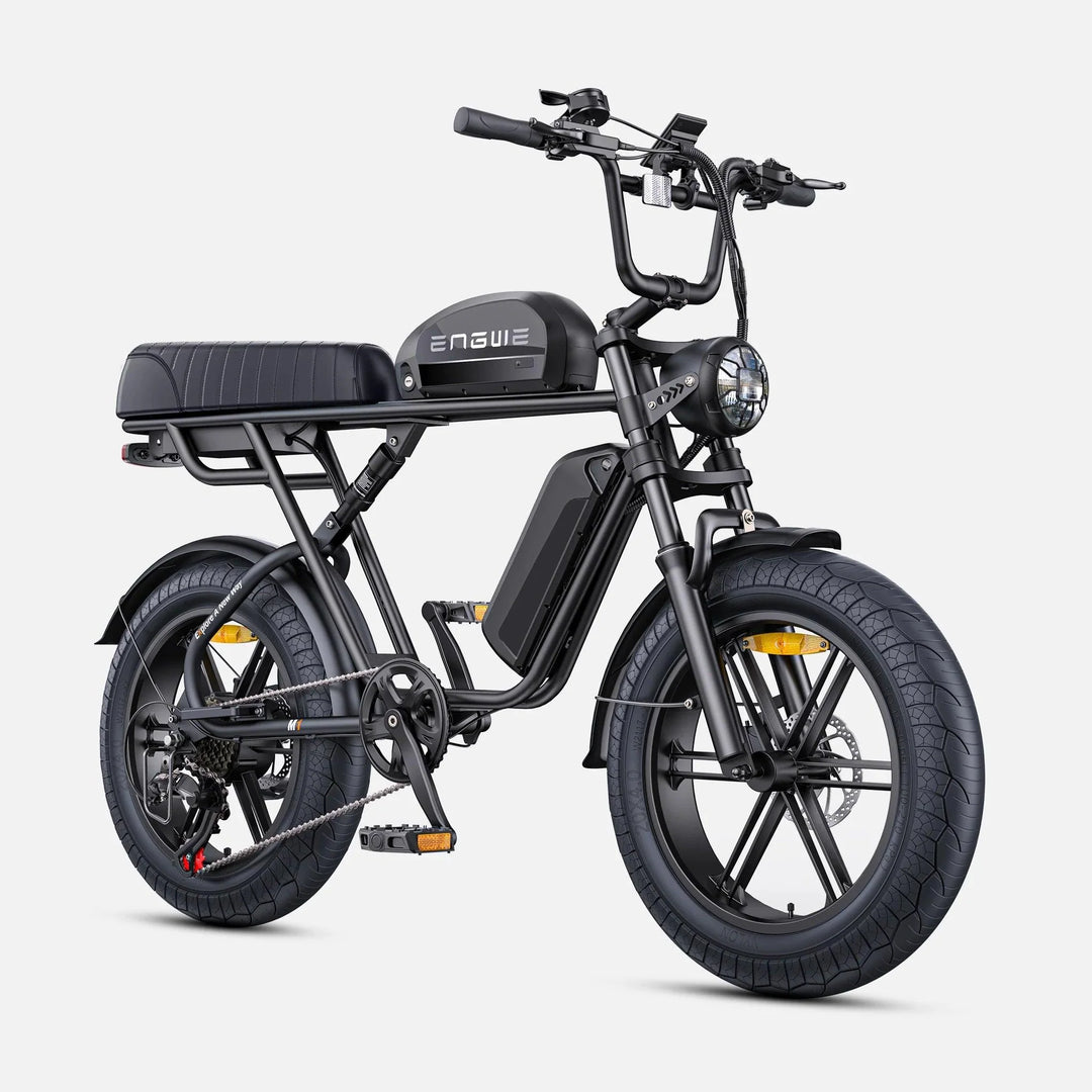 ENGWE M1 Dual Passenger Fat Tire Electric Bike with Single or Dual Battery Options