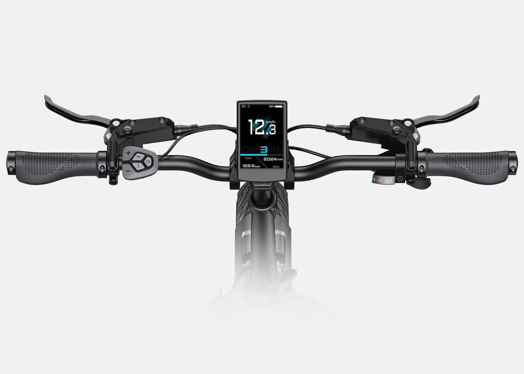 Engwe L20 3.0 Pro Step-Thru Electric Bike with GPS Tracking and Motion Detection