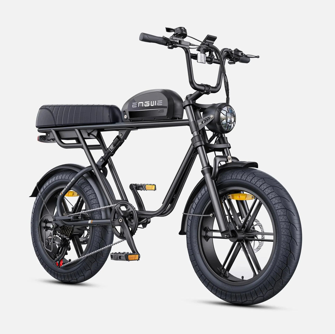 ENGWE M1 Dual Passenger Fat Tire Electric Bike with Single or Dual Battery Options