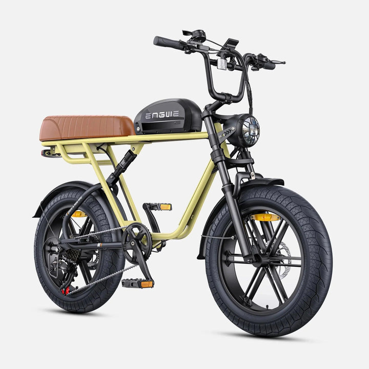 ENGWE M1 Dual Passenger Fat Tire Electric Bike with Single or Dual Battery Options