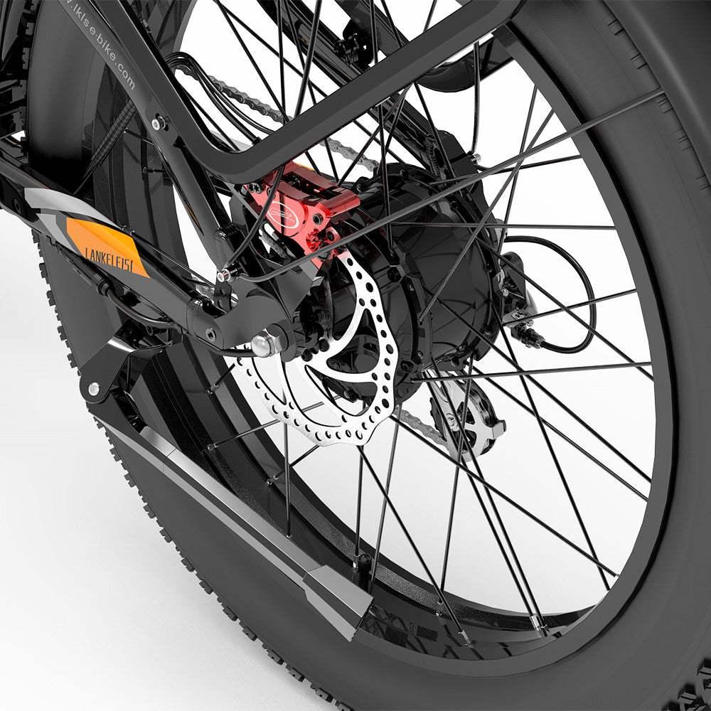 Lankeleisi MG800 Max 2000W Dual Motor Cargo E-Bike with Hydraulic Brakes and LCD Display