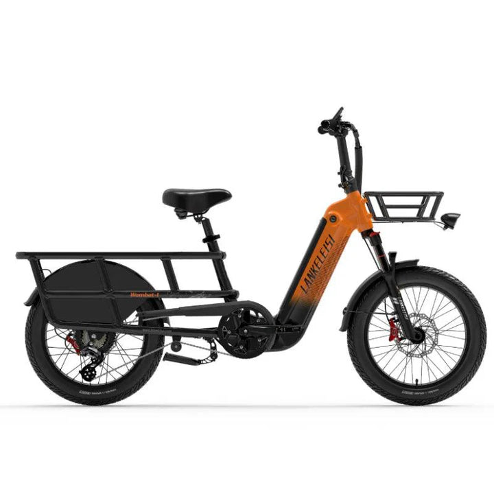 Lankeleisi Wombat-1 Cargo Electric Bike with 1000W Motor and 200kg Max Load Capacity