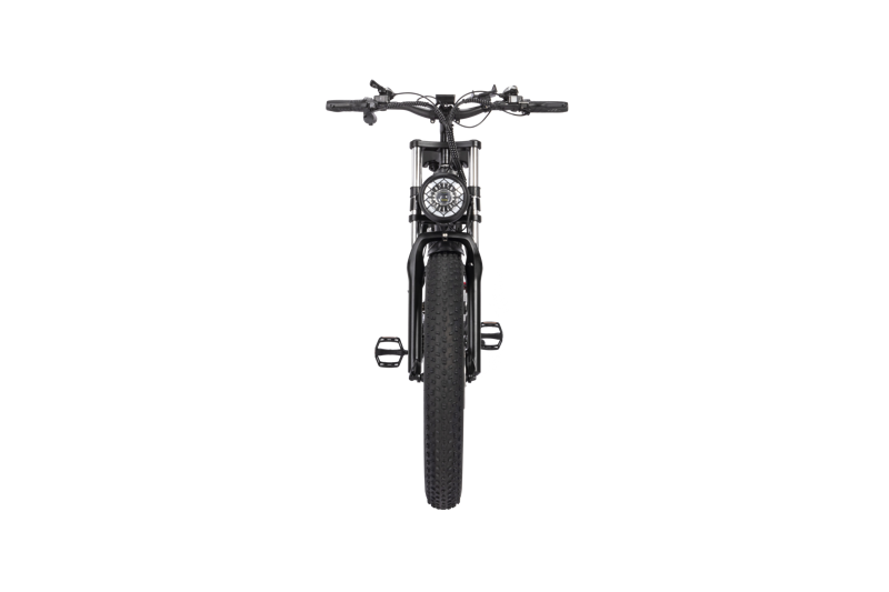 Carregue a imagem no visualizador da Galeria, Ridstar H26 26 inch Hummer folding electric bike with 48V1000W motor and Shimano 7-speed gear system11
