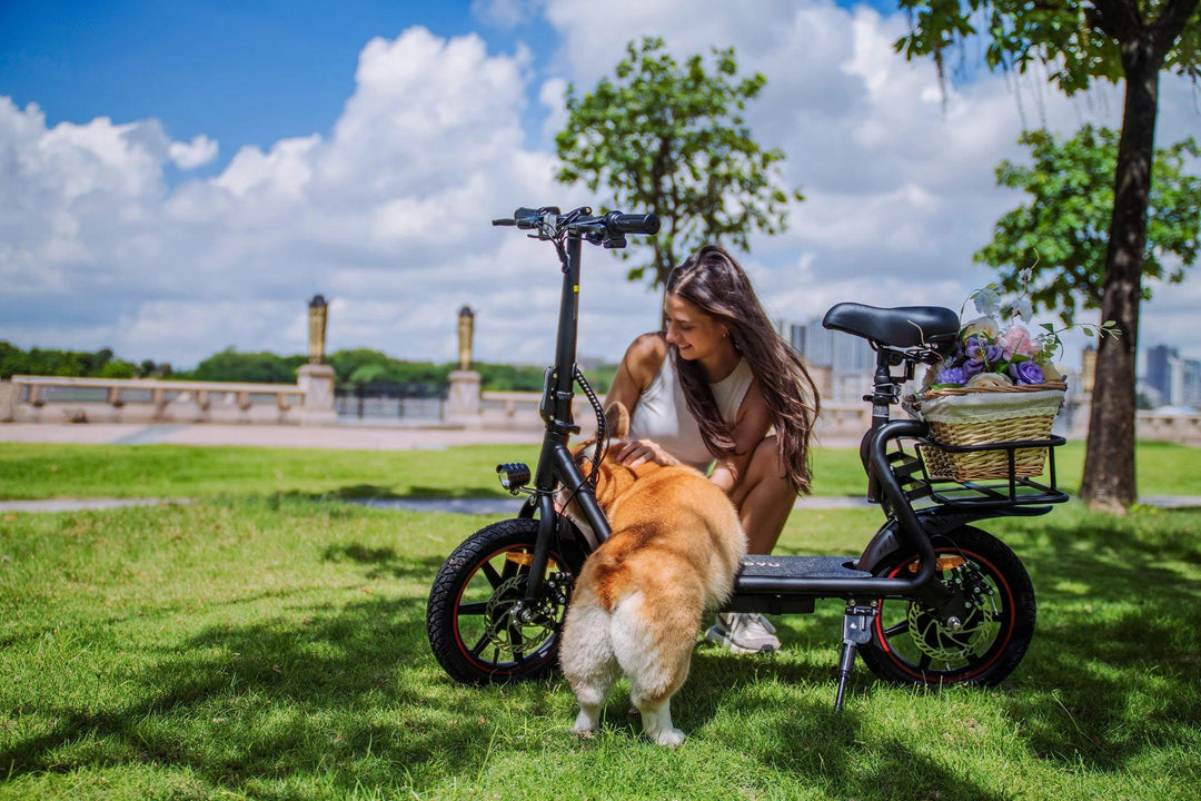 DYU C4 Folding Electric Scooter Designed for Daily Urban Commutes and Exploration