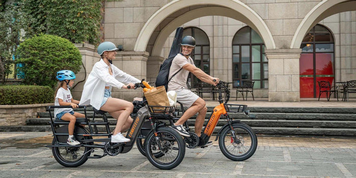 Lankeleisi Wombat-1 Cargo Electric Bike with 1000W Motor and 200kg Max Load Capacity