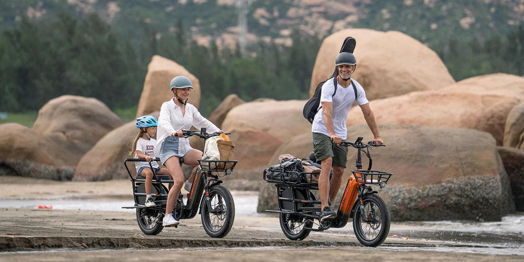 Lankeleisi Wombat-1 Cargo Electric Bike with 1000W Motor and 200kg Max Load Capacity