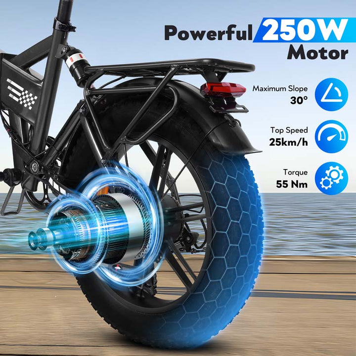 E20 20-Inch Fat Tire Electric Bike with 1000W Rear Motor Dual Suspension and 48V 15Ah Battery