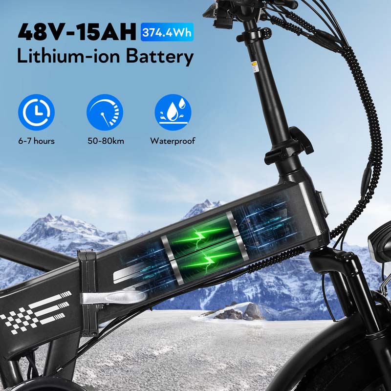E20 20-Inch Fat Tire Electric Bike with 1000W Rear Motor Dual Suspension and 48V 15Ah Battery