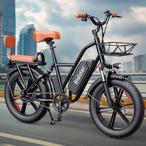 Ridstar FM001 2-Seat Fat Tire Electric Bike | 1000W Motor, 48V 15Ah Battery