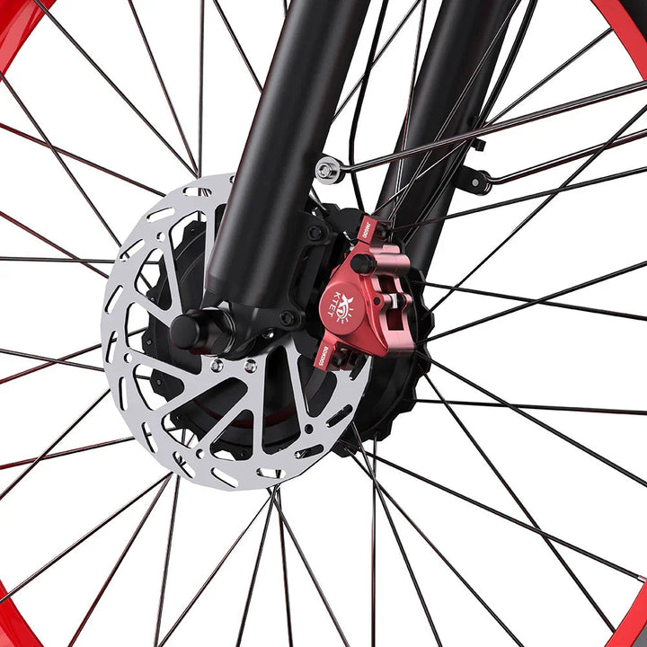 DUOTTS N26 Upgraded Fat Tire Electric Bike with Lightweight Frame