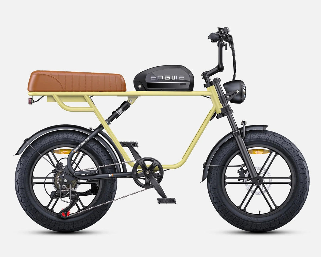 ENGWE M1 Dual Passenger Fat Tire Electric Bike with Single or Dual Battery Options
