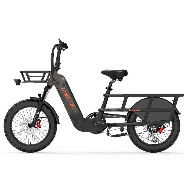 Lankeleisi Wombat-1 Cargo Electric Bike with 1000W Motor and 200kg Max Load Capacity