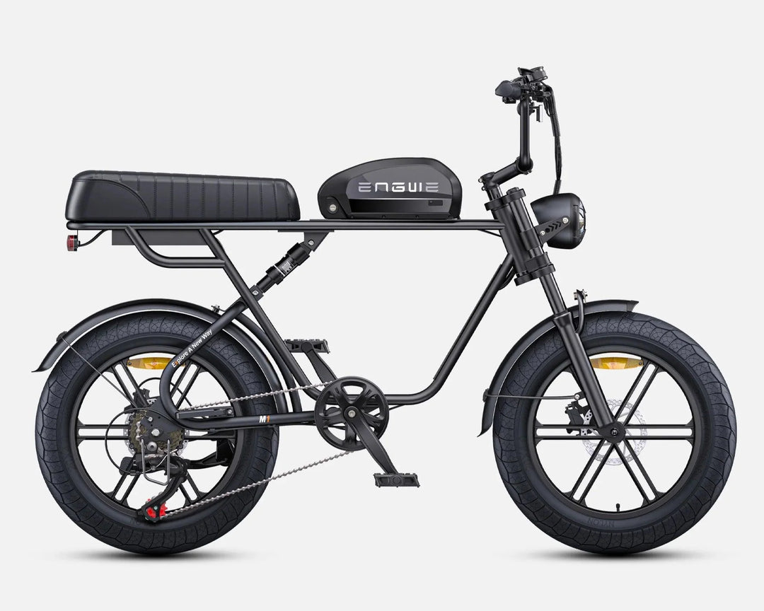 ENGWE M1 Dual Passenger Fat Tire Electric Bike with Single or Dual Battery Options