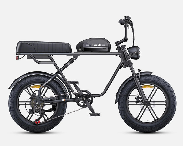 ENGWE M1 Dual Passenger Fat Tire Electric Bike with Single or Dual Battery Options