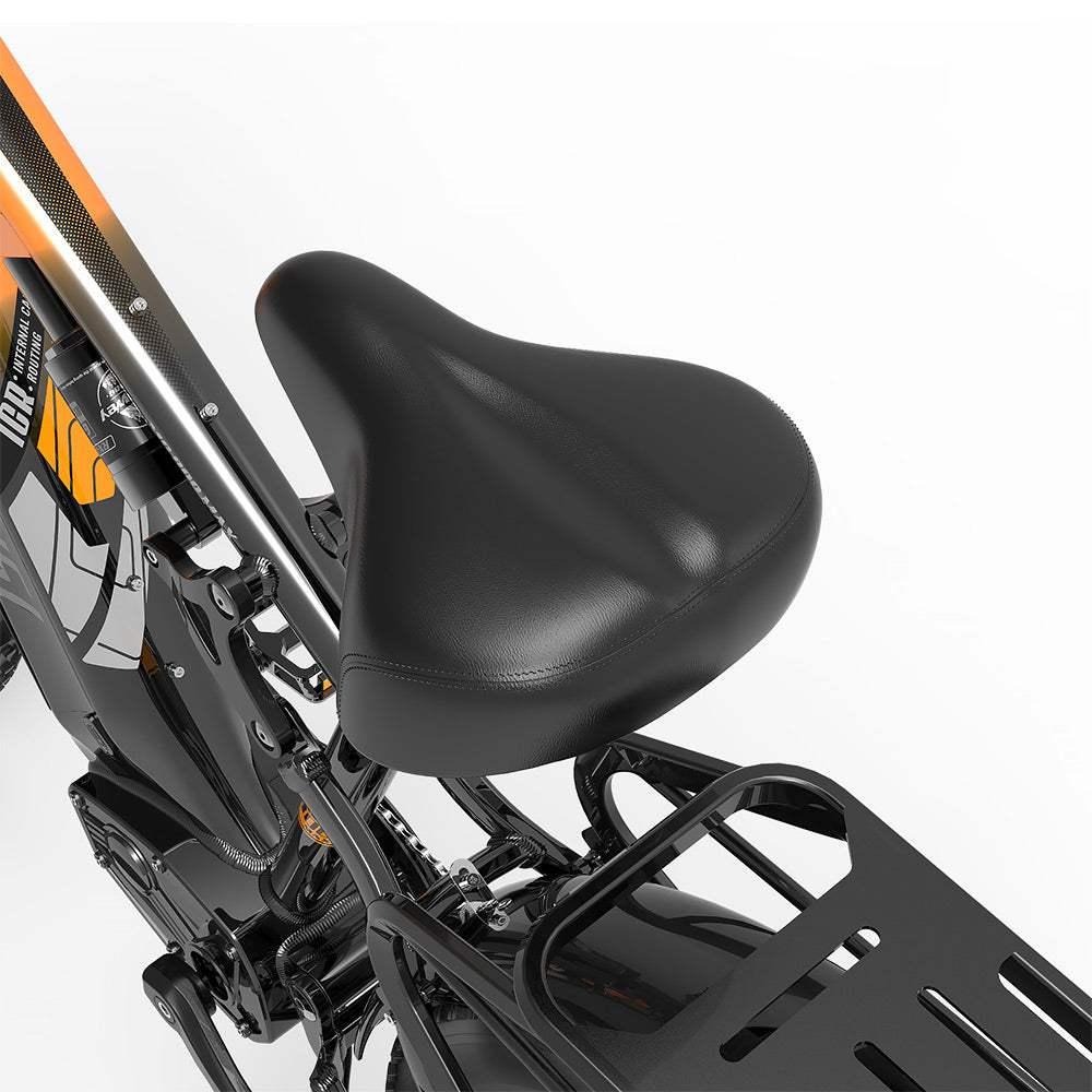 Lankeleisi MG800 Max 2000W Dual Motor Cargo E-Bike with Hydraulic Brakes and LCD Display