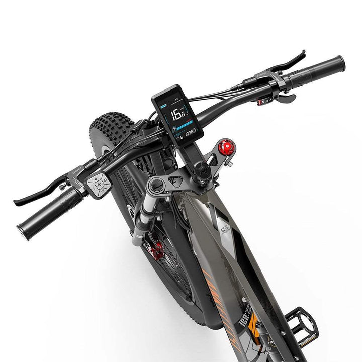 Lankeleisi MG800 Max 2000W Dual Motor Cargo E-Bike with Hydraulic Brakes and LCD Display