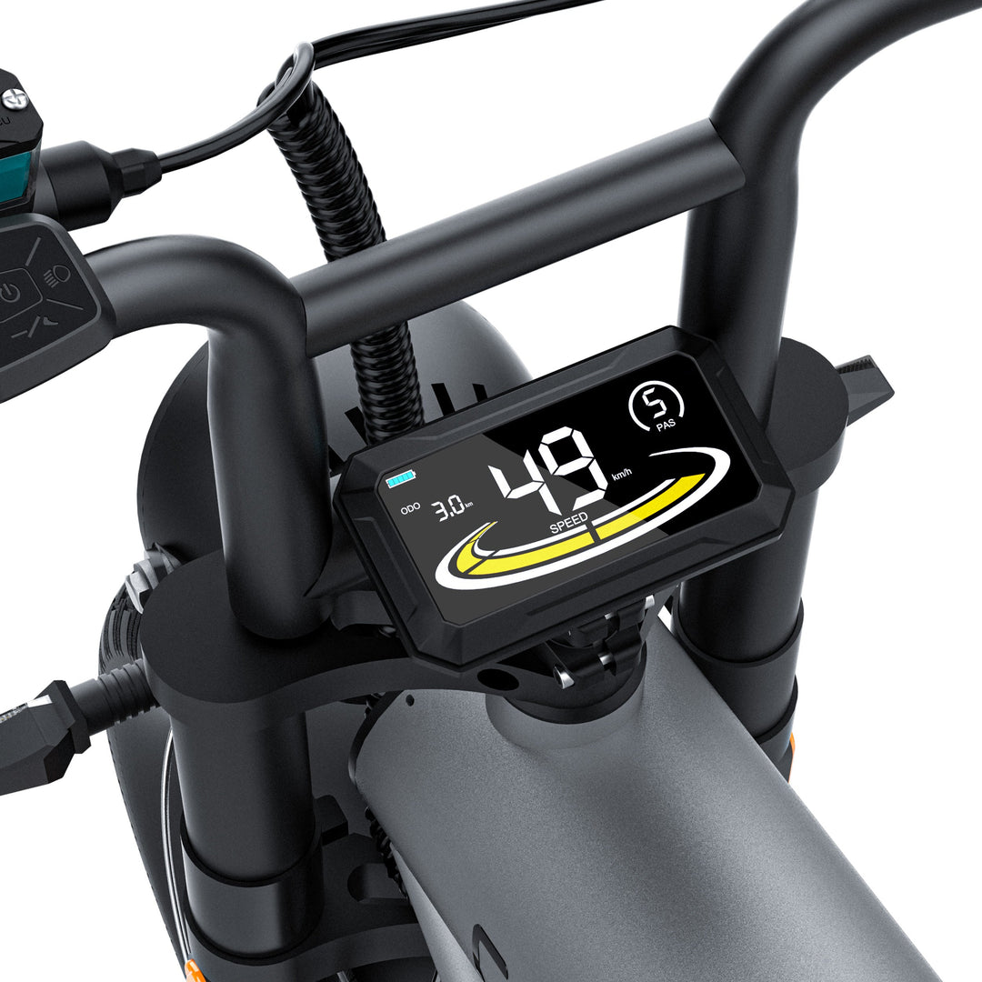 COSWHEEL CT20 20" Off Road Electric Bike 1000W Motor 48V 25Ah Battery