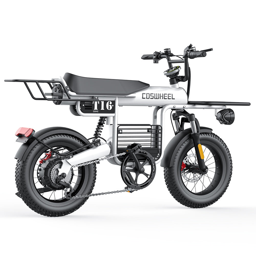 COSWHEEL T16 16" All-Terrain Electric Bike 500W Motor 48V 20Ah Battery