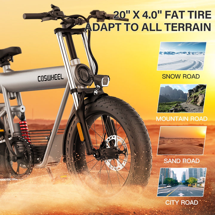 COSWHEEL T20 20" Off Road Electric Bike 1000W Motor 48V 20Ah Battery