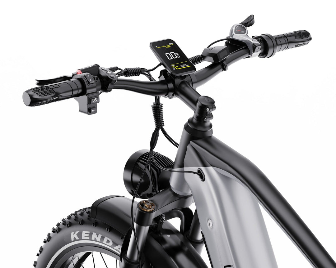DUOTTS F26 Lite Fat Tire Electric Bike with Kenda Tires and Hydraulic Disc Brakes