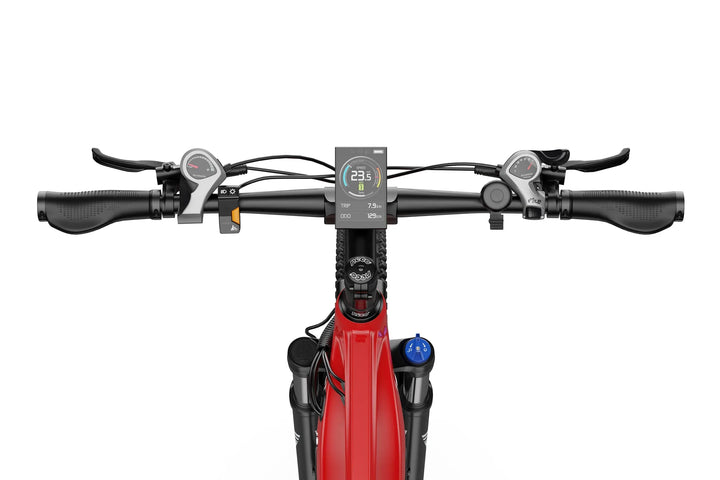 DUOTTS E29 Electric Bike with Shimano MT200 Hydraulic Brakes and Type-C Charging Port
