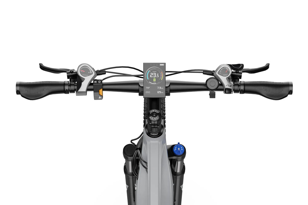 DUOTTS E29 Electric Bike with Shimano MT200 Hydraulic Brakes and Type-C Charging Port
