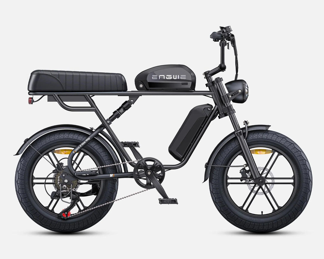 ENGWE M1 Dual Passenger Fat Tire Electric Bike with Single or Dual Battery Options