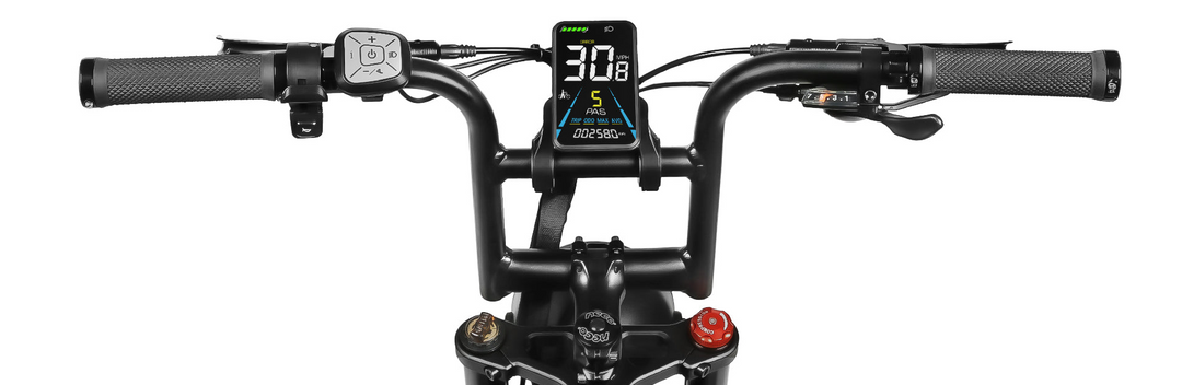 Samebike M20 1000W Retro Style Electric Bike with Classic Curved Handlebar Design