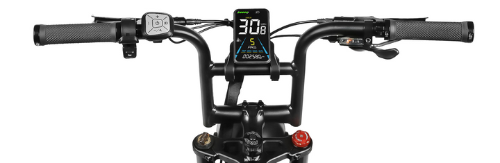 Samebike M20 1000W Retro Style Electric Bike with Classic Curved Handlebar Design