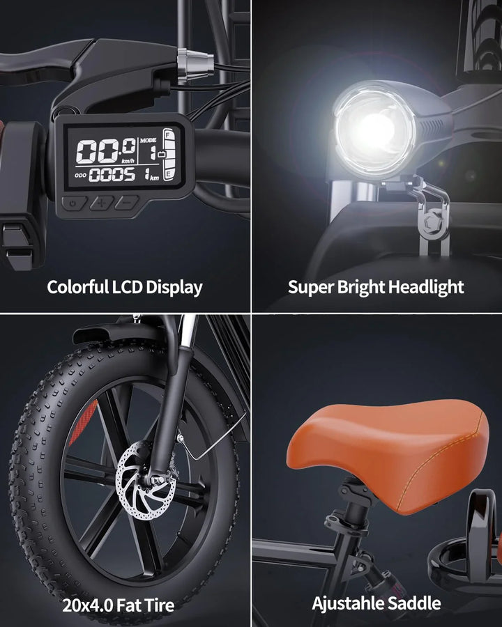 Ridstar FM001 2-Seat Fat Tire Electric Bike | 1000W Motor, 48V 15Ah Battery