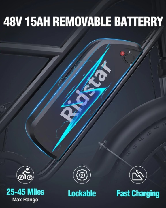 Ridstar FM001 2-Seat Fat Tire Electric Bike | 1000W Motor, 48V 15Ah Battery