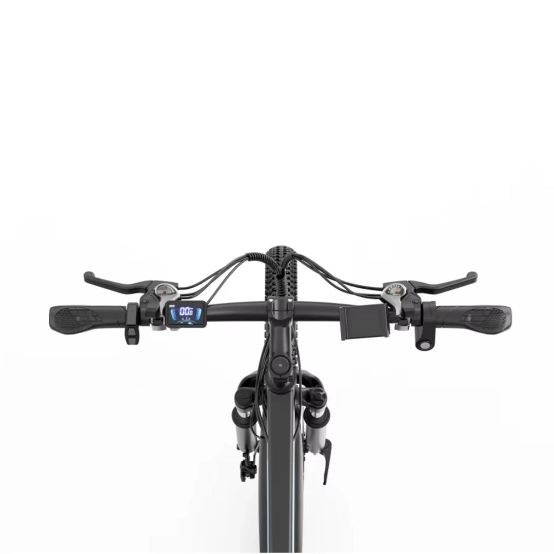 Ridstar S29 Pro 29 Inch Mountain Electric Bike 1000W High Speed Motor 48V 21Ah Removable Battery All Terrain Fat Tire Ebike