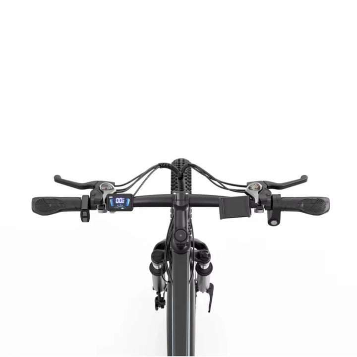 Ridstar S29 Pro 29 Inch Mountain Electric Bike 1000W High Speed Motor 48V 21Ah Removable Battery All Terrain Fat Tire Ebike