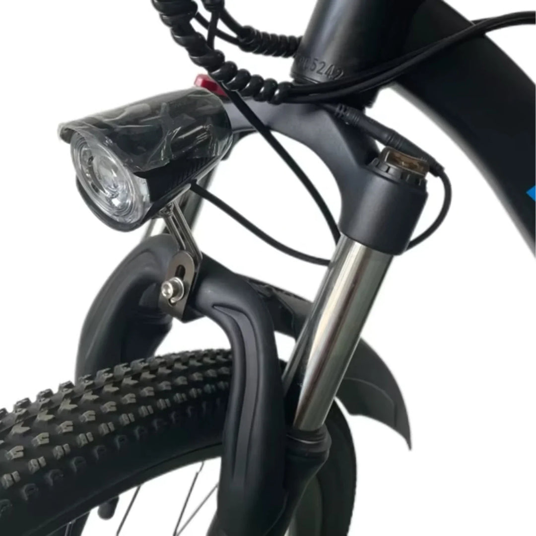 Ridstar S29 Pro 29 Inch Mountain Electric Bike 1000W High Speed Motor 48V 21Ah Removable Battery All Terrain Fat Tire Ebike