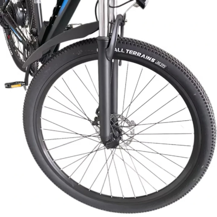 Ridstar S29 Pro 29 Inch Mountain Electric Bike 1000W High Speed Motor 48V 21Ah Removable Battery All Terrain Fat Tire Ebike