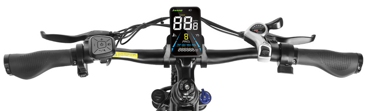 Samebike RS-A01 MEN Urban Electric Bicycle with LCD Display and Ergonomic Controls