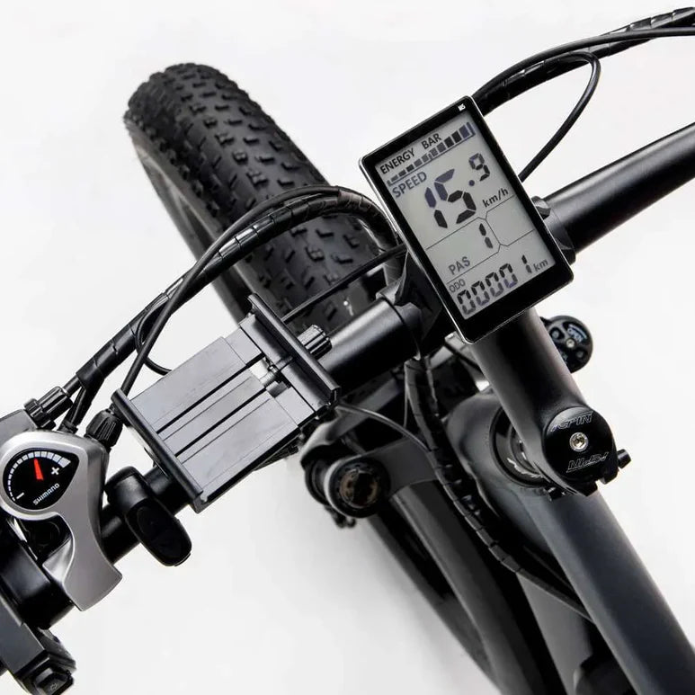 Ridstar E26 1000W Fat Tire Electric Bike | 48V 15.6Ah Battery, 28+ MPH, 26" x 4.0" All-Terrain Full Suspension Mountain E-Bike