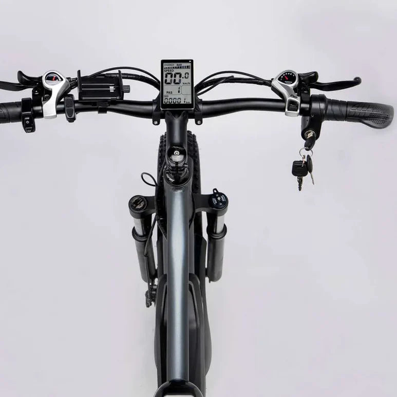 Ridstar E26 1000W Fat Tire Electric Bike | 48V 15.6Ah Battery, 28+ MPH, 26" x 4.0" All-Terrain Full Suspension Mountain E-Bike