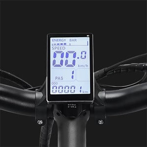 Ridstar Q20 20 Inch Fat Tire Electric Bike 1500W Peak Power Motor 48V 20Ah Long Range Battery Retro All Terrain Off-Road Ebike