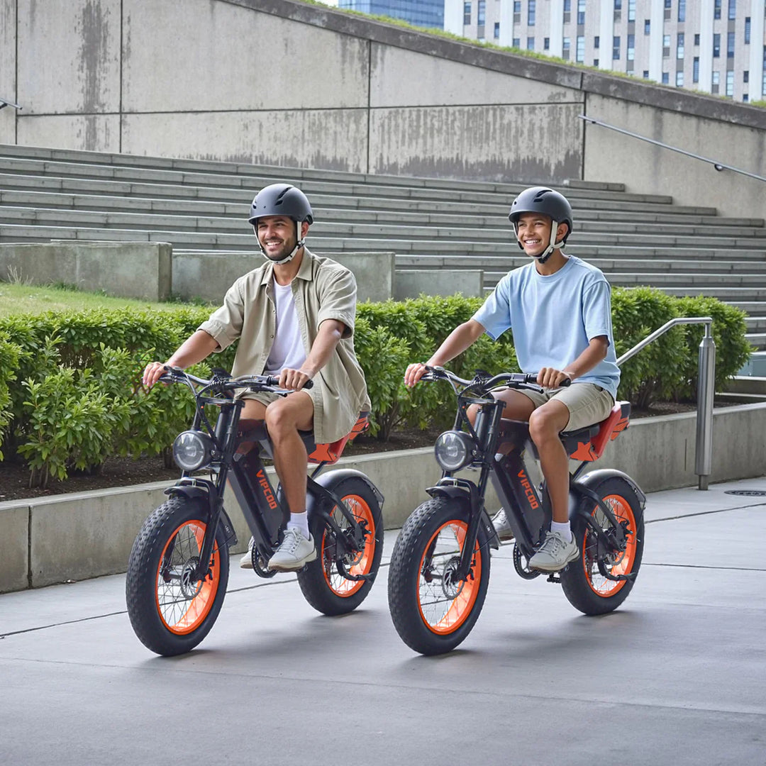 VIPCOO VM6 Fat Tire Electric City Bike with Removable Battery and LCD Display