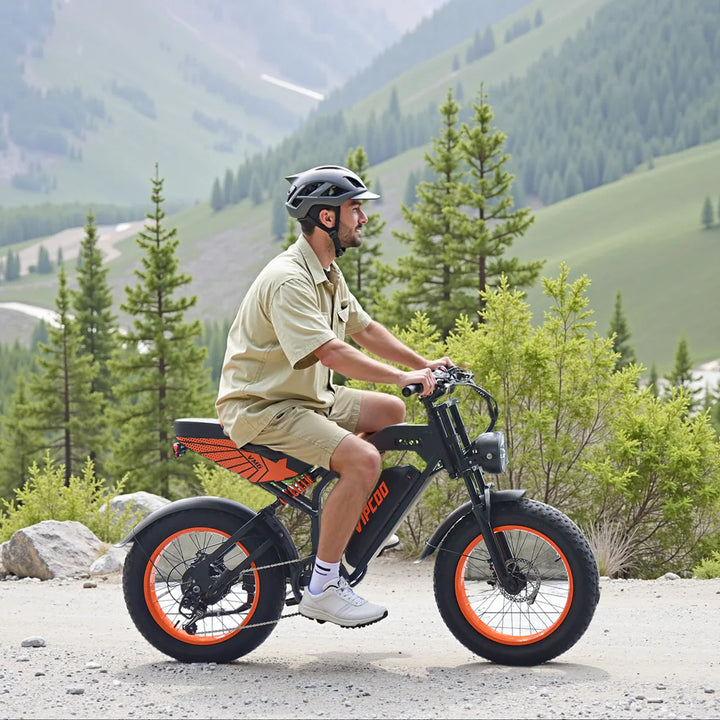 VIPCOO VM6 Fat Tire Electric City Bike with Removable Battery and LCD Display